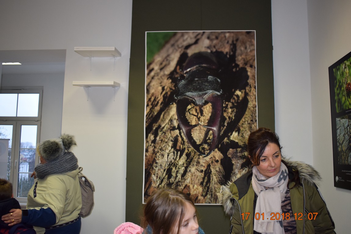 Ferie-17.01.2018-112-1.jpg