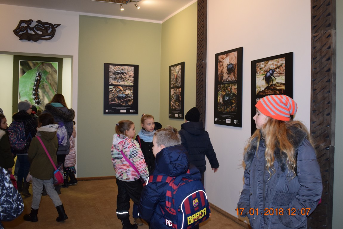Ferie-17.01.2018-113-1.jpg