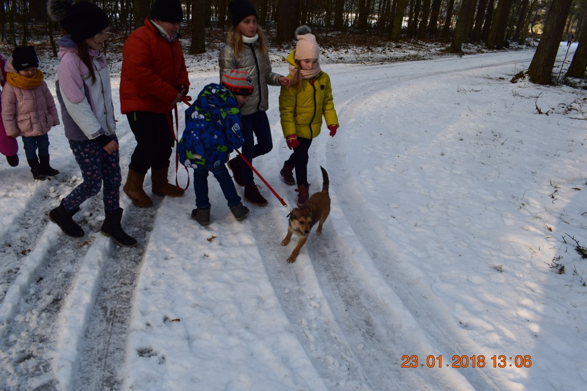 Ferie-23.01.2018-183.jpg