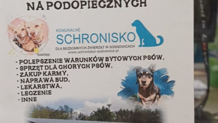 W Miejskiej Bibliotece Publicznej w Dziwnowie są dostępne piękne KALENDARZE Z PUPILAMI ZE SCHRONISKA W SOSNOWICACH – schronisko potrzebuje wsparcia, Pieski czekają na adopcje.