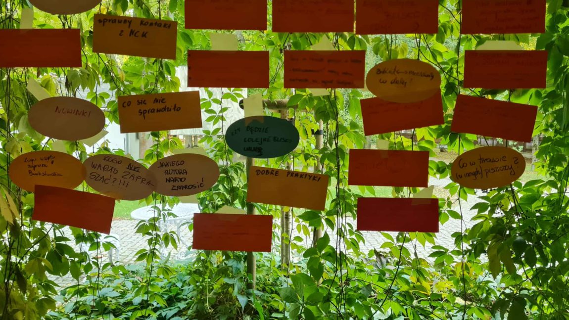 Radziejowice 2025 moimi oczami – foty cz.2