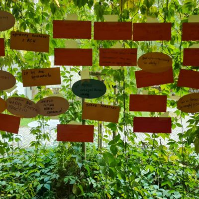 Radziejowice 2025 moimi oczami – foty cz.2