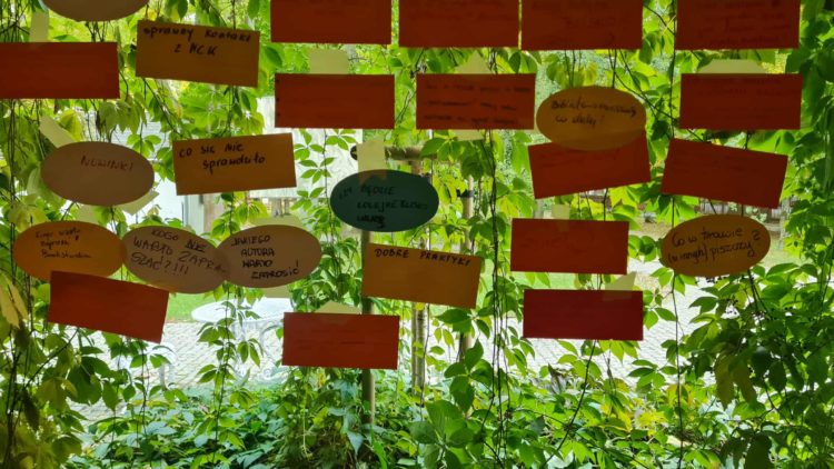 Radziejowice 2025 moimi oczami – foty cz.2