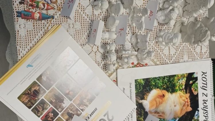 Piękne kalendarze na 2026 rok z kotami i psami!